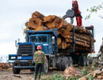The Last Woodsmen