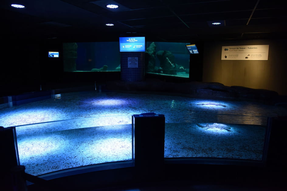 Ecrans LED p&eacute;dagogiques