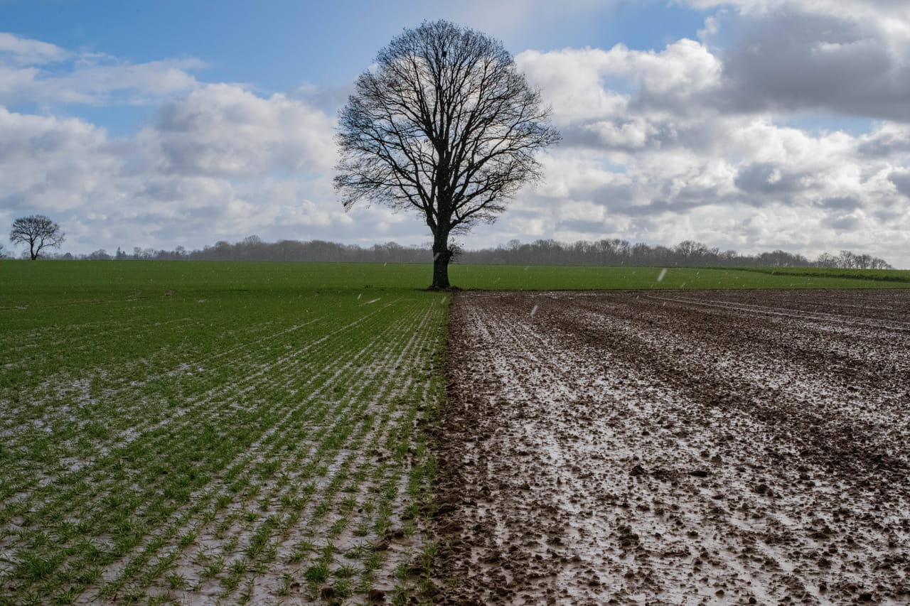 De l'acétamipride dans la pluie ! Le pesticide de la loi Duplomb n'est pas que dans les cultures !