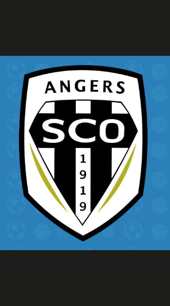 12e ex-aequo&nbsp;: Angers