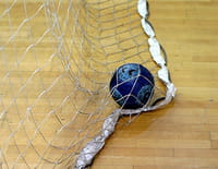 Handball - Flensburg-Handewitt (Deu) / Nantes (Fra)