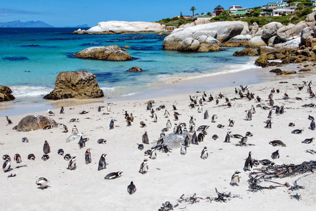Boulders Beach