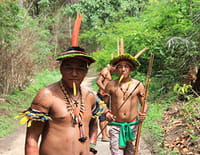 Ka'apor, le dernier combat