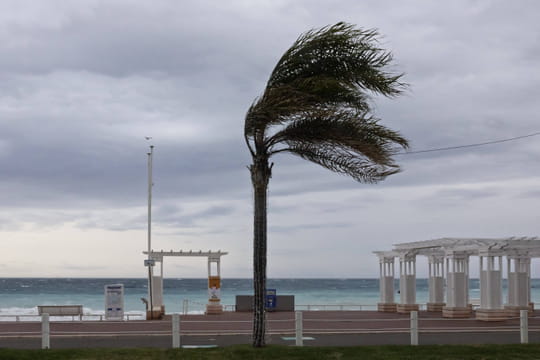 Temp&ecirc;te Claudia&nbsp;: 16&nbsp;d&eacute;partements plac&eacute;s en vigilance pour vents violents, un &eacute;pisode durable annonc&eacute;