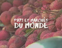 Pays et marchés du monde : Arizona