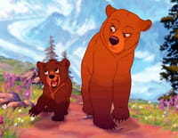Frère des ours