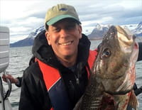 The Fish on my Plate : l'expérience omega 3