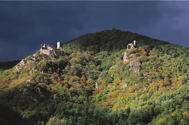 Les châteaux de Ribeauvillé