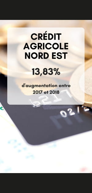 2.&nbsp;Cr&eacute;dit Agricole Nord Est