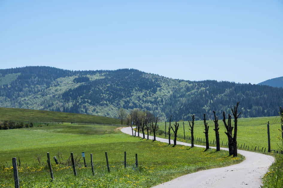 Les Causses et les C&eacute;vennes, paysage culturel de l'agro-pastoralisme m&eacute;diterran&eacute;en