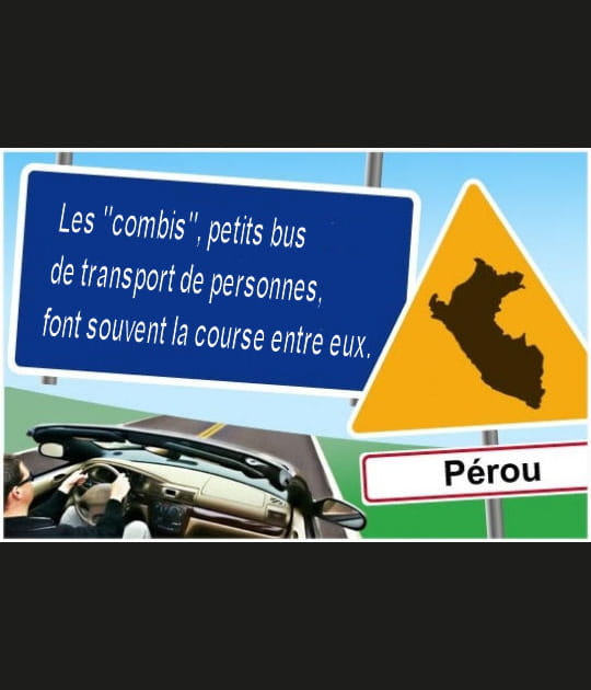 Chauffeur ou &quot;chauffard&quot; de bus