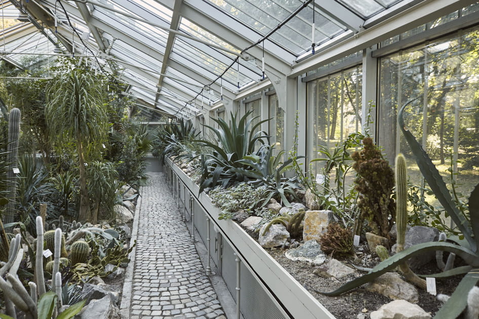 Le jardin botanique de Jevremovac