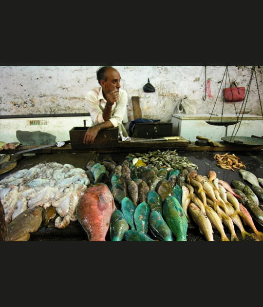 Les fruits de l'oc&eacute;an Indien