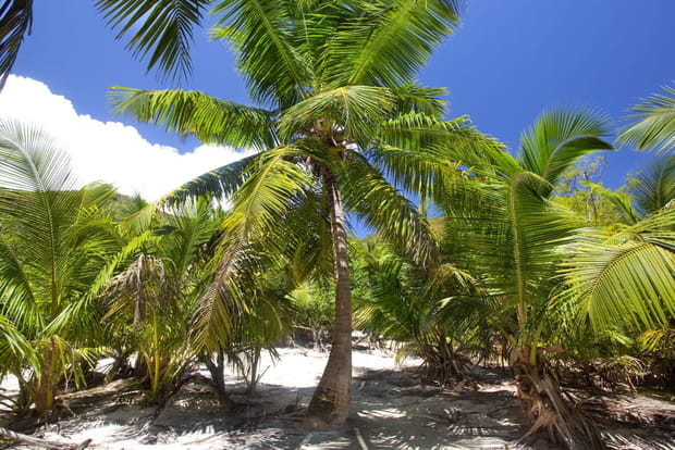 Voyage aux Seychelles en 20 photos : ile Coco, petit coin de rêve