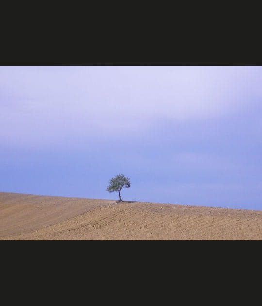 Seul sous le ciel