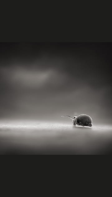 La travers&eacute;e du d&eacute;sert