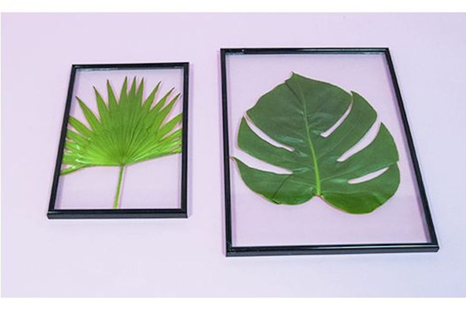 Une feuille tropicale encadr&eacute;e