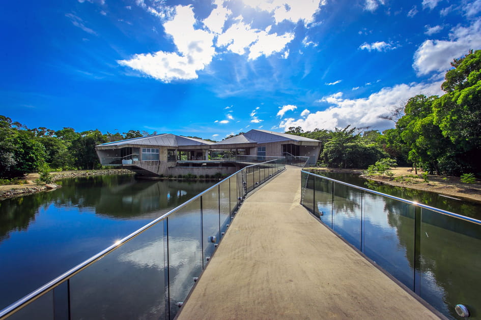 Une passerelle pour atteindre la maison