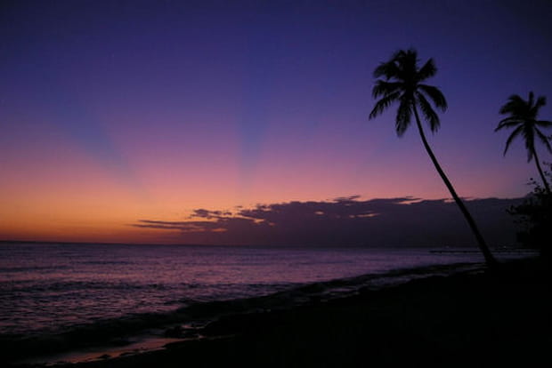 Un coin de paradis dominicain