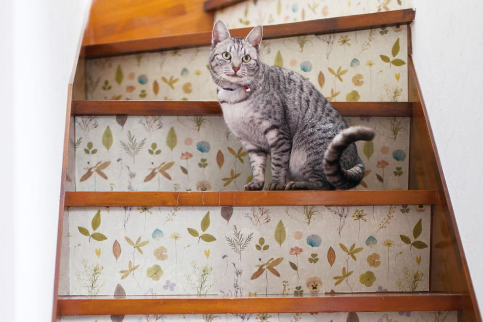 Customiser les escaliers