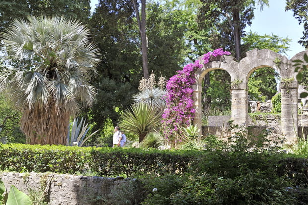 Le jardin des Plantes de Montpellier