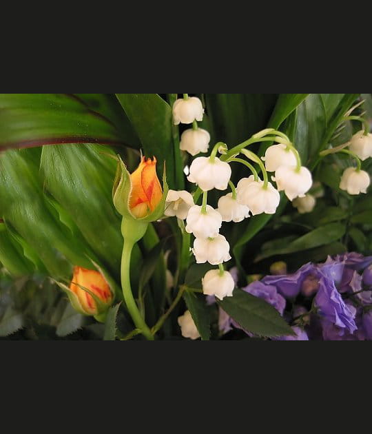 Muguet, boutons de roses et Lisianthus