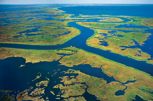 Les basses terres de la Louisiane