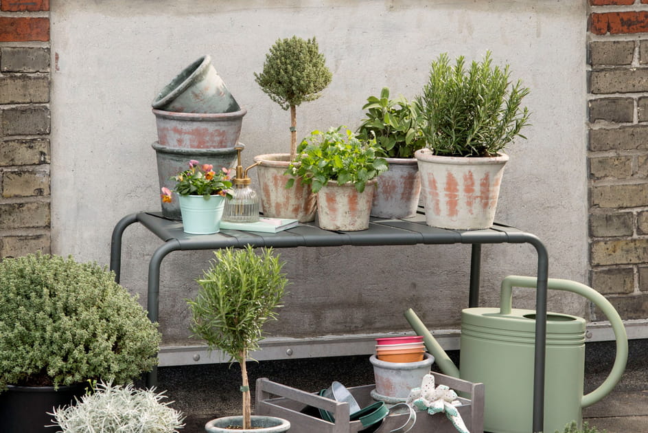 Des pots patin&eacute;s