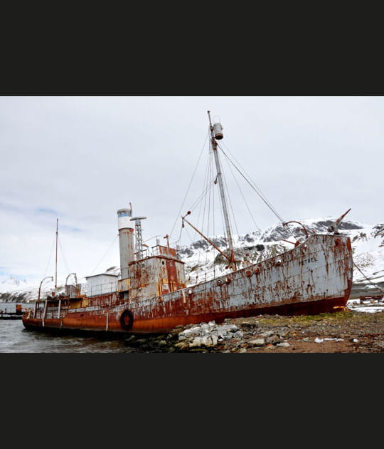 Le &quot;P&eacute;trel&quot;, baleinier &eacute;chou&eacute;