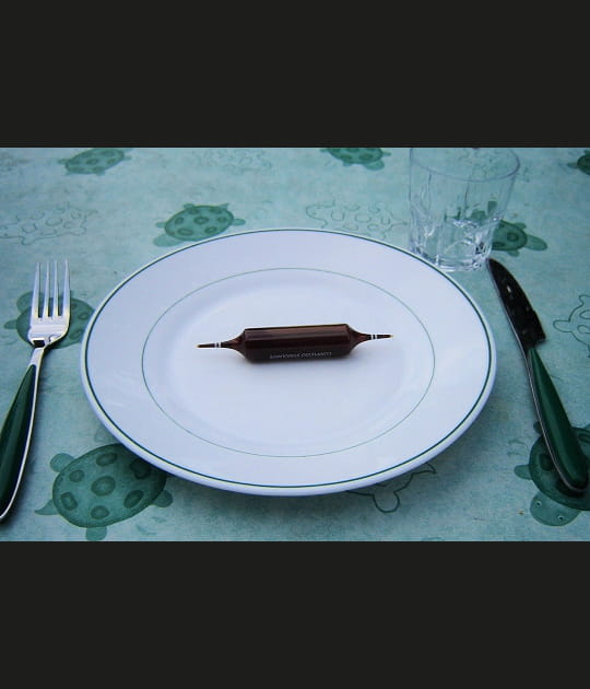 Repas du futur&nbsp;?