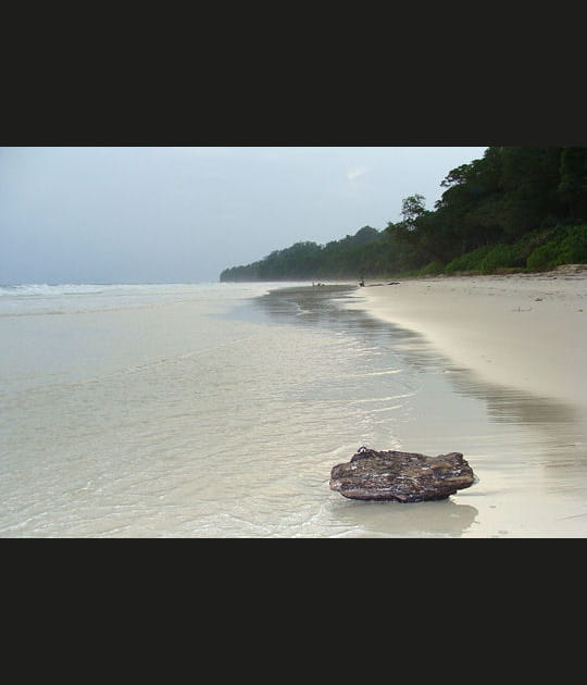 Havelock, une plage prot&eacute;g&eacute;e