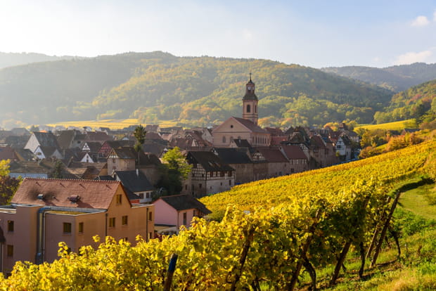 Les routes des vins d'Alsace aux couleurs chatoyantes