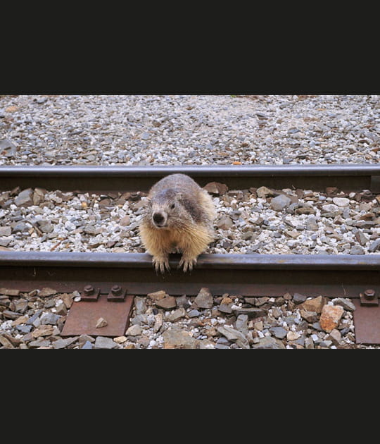 A quelle heure passe le train&nbsp;?