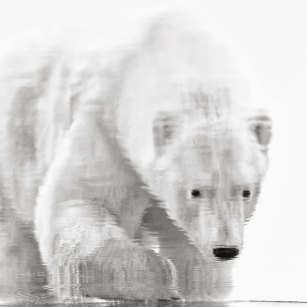 T&eacute;moin de la fonte des glaces