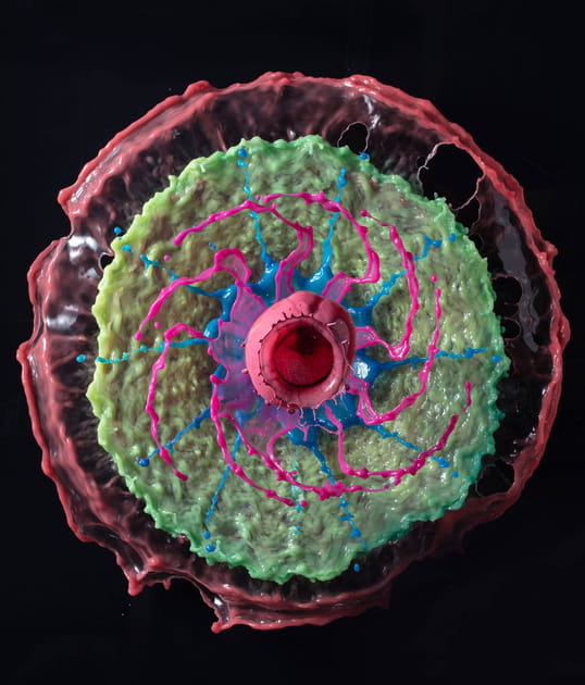 Spirale psych&eacute;d&eacute;lique