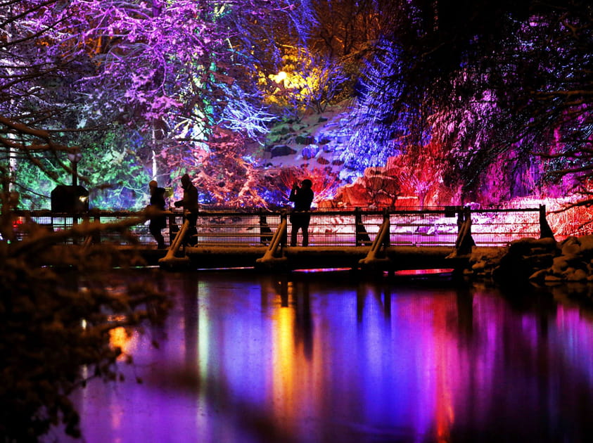 Lumi&egrave;res d'hiver