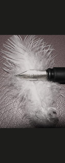 Les deux plumes