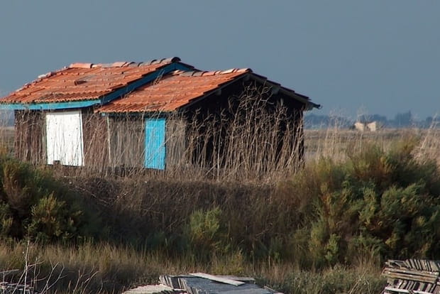 Cabane de mareyeurs