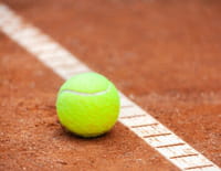 Tennis : Tournoi ATP de Lyon - Quarts de finale