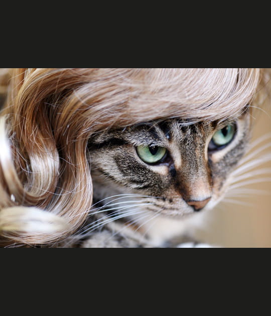 Coquette en blonde