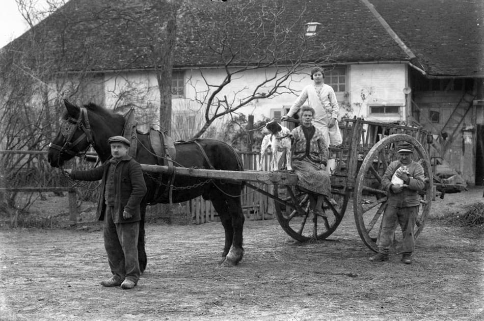 La France agricole entre 1919&nbsp;et 1945