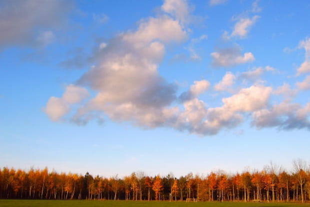 Les forêts du Calvados