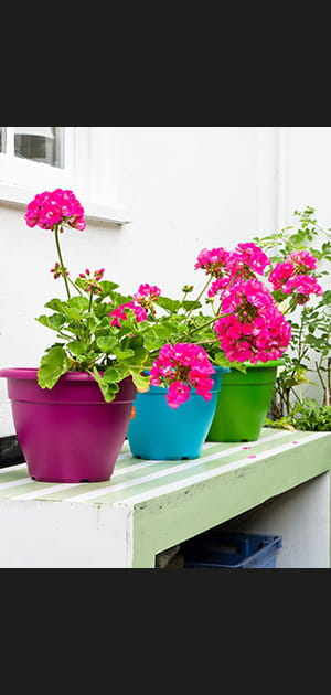 D&eacute;crocher les jardini&egrave;res et ranger les pots de fleurs