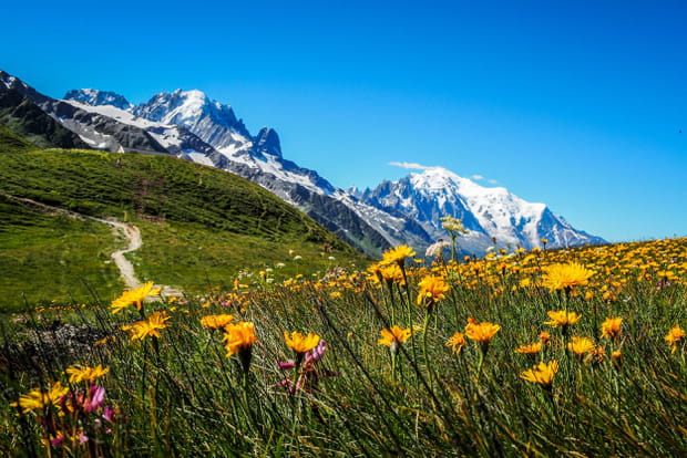 Le Tour du Mont Blanc