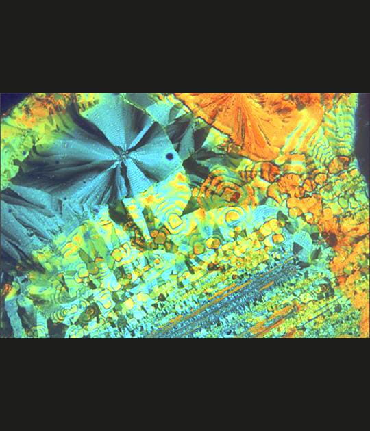 Explosion de couleurs