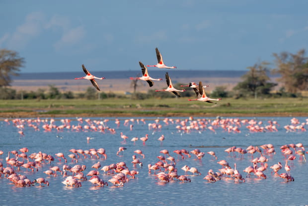 La Camargue sous ses plus belles couleurs