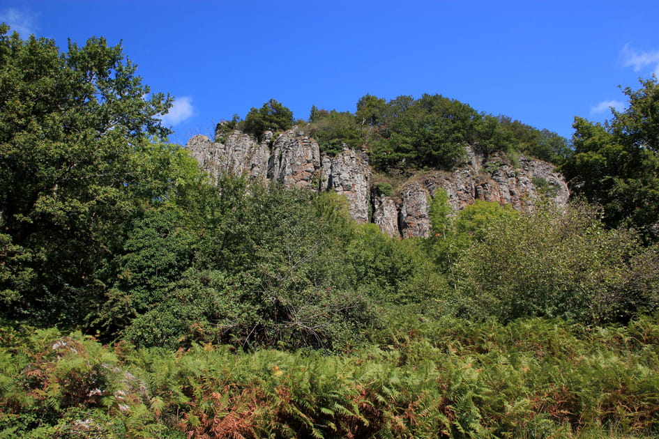 Les Orgues de Bort