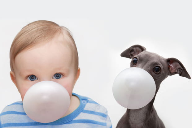 Les chewing-gums à Singapour