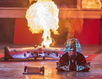 Combats de robots