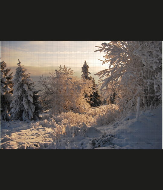 Parc Naturel des Vosges